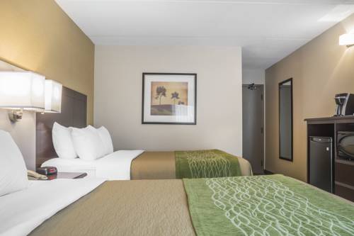 Imagen de la habitación del Hotel Comfort Inn Chatham. Foto 9