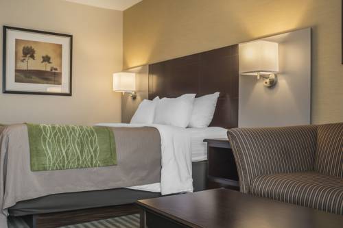 Imagen de la habitación del Hotel Comfort Inn Chatham. Foto 15