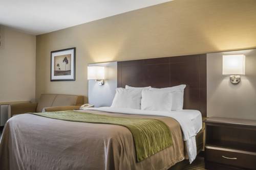 Imagen de la habitación del Hotel Comfort Inn Chatham. Foto 16