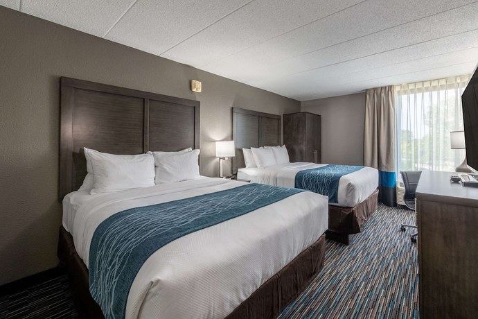 Imagen de la habitación del Hotel Comfort Inn Chicago Schaumburg - O'hare Airport. Foto 3