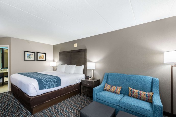 Imagen de la habitación del Hotel Comfort Inn Chicago Schaumburg - O'hare Airport. Foto 4