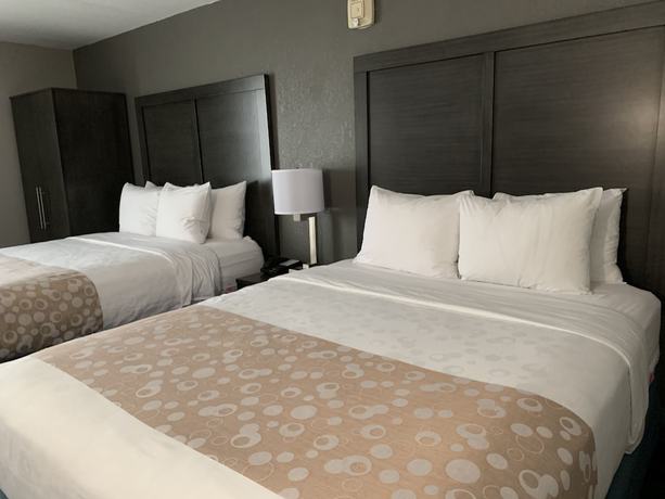 Imagen de la habitación del Hotel Comfort Inn Chicago Schaumburg - O'hare Airport. Foto 8