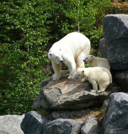 Imagen de los exteriores del Hotel Comfort Inn Chicoutimi. Foto 13