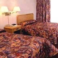 Imagen general del Hotel Comfort Inn Clifton Hill. Foto 5