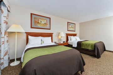 Imagen de la habitación del Hotel Comfort Inn Cody. Foto 3
