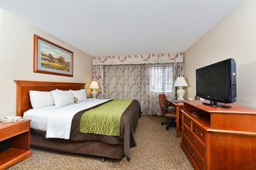 Imagen de la habitación del Hotel Comfort Inn Cody. Foto 4