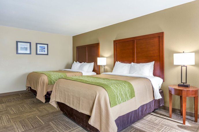 Imagen de la habitación del Hotel Comfort Inn Collinsville near St. Louis. Foto 9