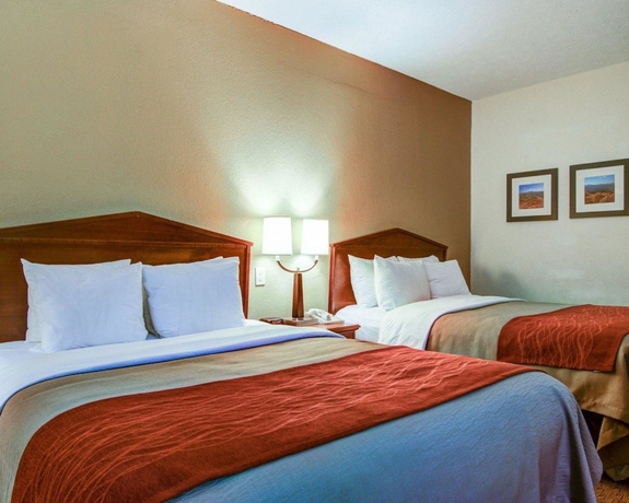 Imagen de la habitación del Hotel Comfort Inn Columbus Near Fort Moore. Foto 9