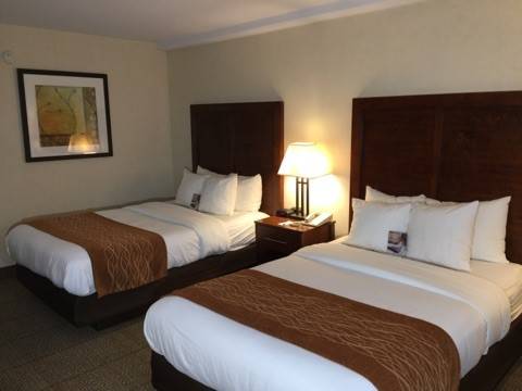Imagen de la habitación del Hotel Comfort Inn Conference Center, Bowie. Foto 4