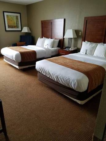 Imagen de la habitación del Hotel Comfort Inn Conference Center, Bowie. Foto 8