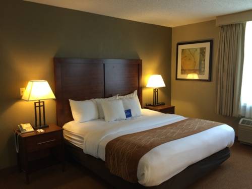 Imagen de la habitación del Hotel Comfort Inn Conference Center, Bowie. Foto 11