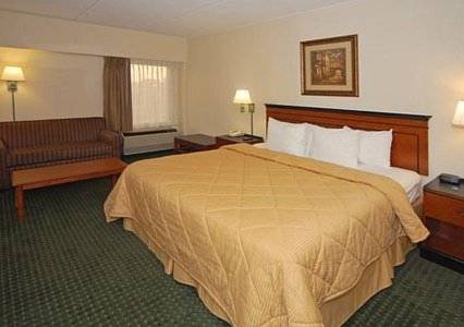 Imagen de la habitación del Hotel Comfort Inn Conyers. Foto 5
