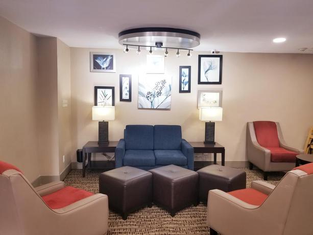 Imagen general del Hotel Comfort Inn Dallas Park Central. Foto 10