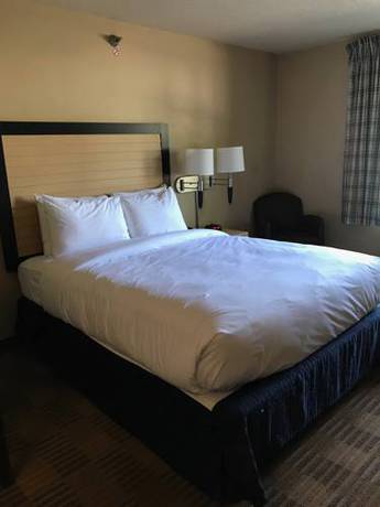 Imagen de la habitación del Hotel Comfort Inn Danvers - Boston North Shore. Foto 3