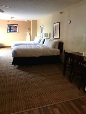 Imagen de la habitación del Hotel Comfort Inn Danvers - Boston North Shore. Foto 10