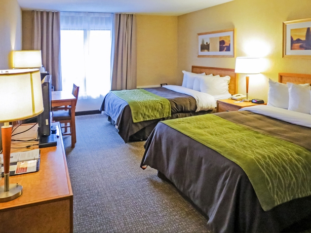 Imagen de la habitación del Hotel Comfort Inn Dartmouth. Foto 4