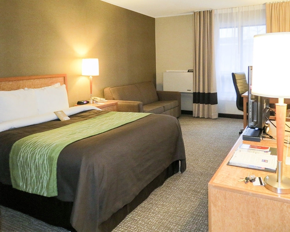 Imagen de la habitación del Hotel Comfort Inn Dartmouth. Foto 5
