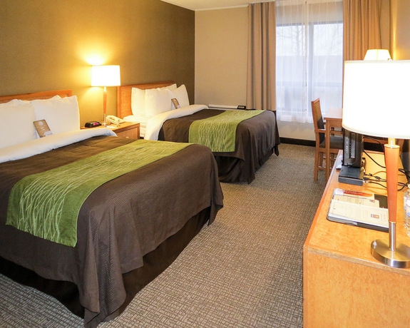 Imagen de la habitación del Hotel Comfort Inn Dartmouth. Foto 6
