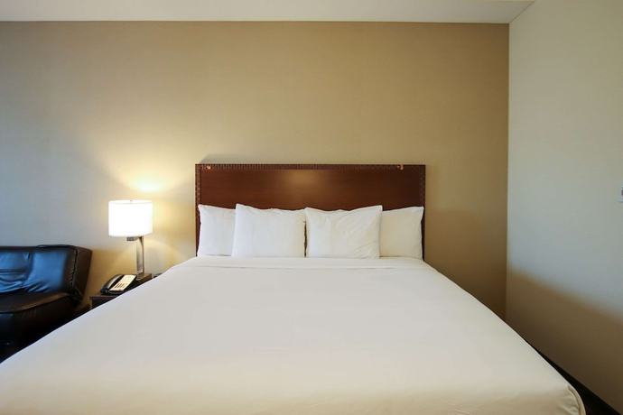 Imagen de la habitación del Hotel Comfort Inn, Dawson Creek. Foto 14