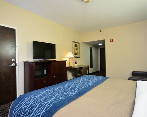 Imagen de la habitación del Hotel Comfort Inn Decatur. Foto 9