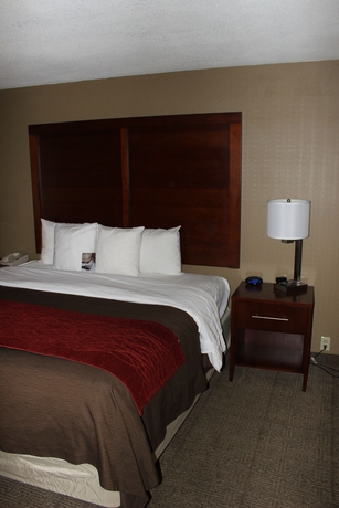 Imagen de la habitación del Hotel Comfort Inn Denver Central. Foto 7