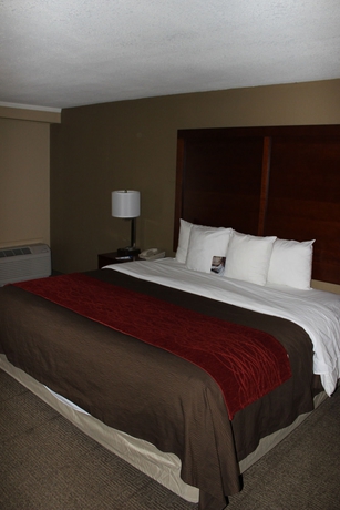 Imagen de la habitación del Hotel Comfort Inn Denver Central. Foto 10