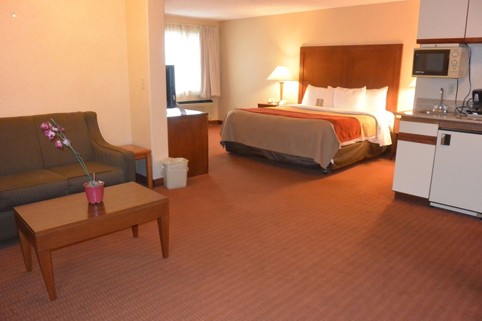 Imagen de la habitación del Hotel Comfort Inn Denver Southeast Area. Foto 7