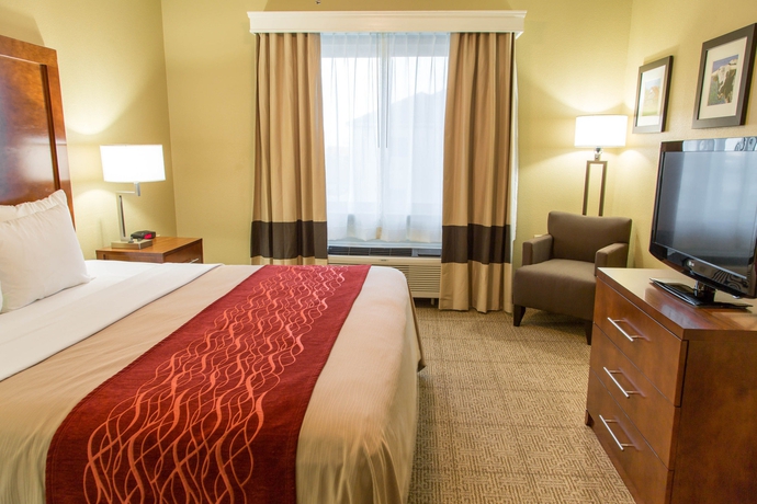 Imagen de la habitación del Hotel Comfort Inn Dfwairportnorth. Foto 8