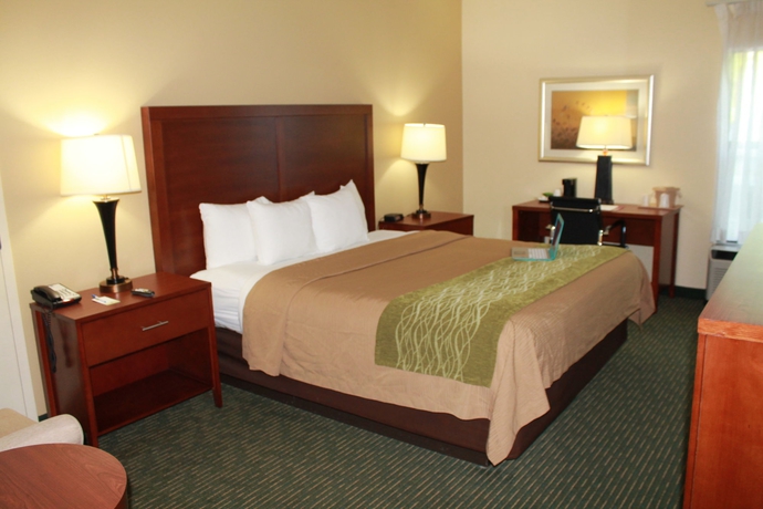 Imagen de la habitación del Hotel Comfort Inn Douglasville - Atlanta West. Foto 8