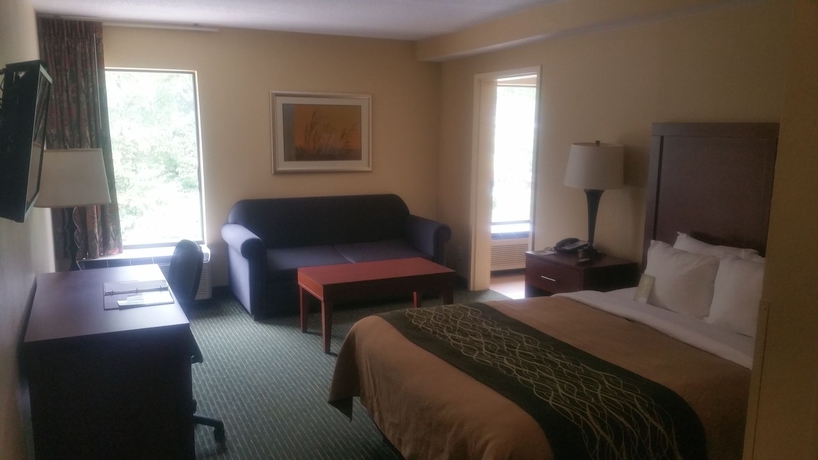 Imagen de la habitación del Hotel Comfort Inn Douglasville - Atlanta West. Foto 9