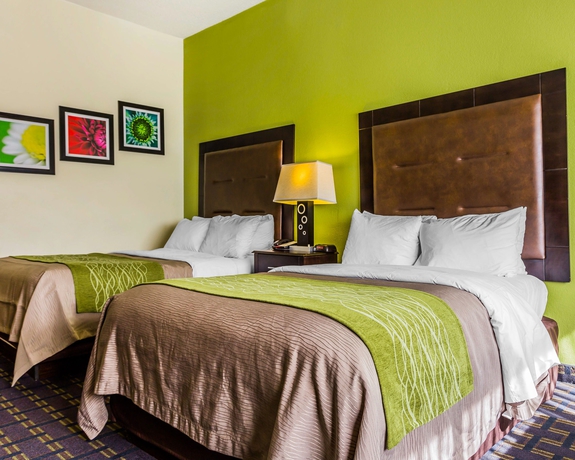 Imagen de la habitación del Hotel Comfort Inn Downtown Charleston. Foto 9