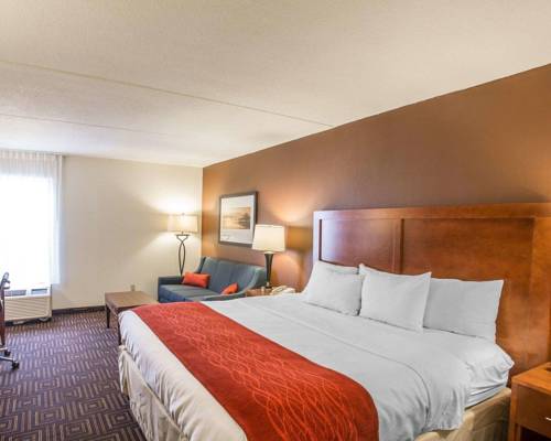 Imagen de la habitación del Hotel Comfort Inn Downtown Chattanooga. Foto 1