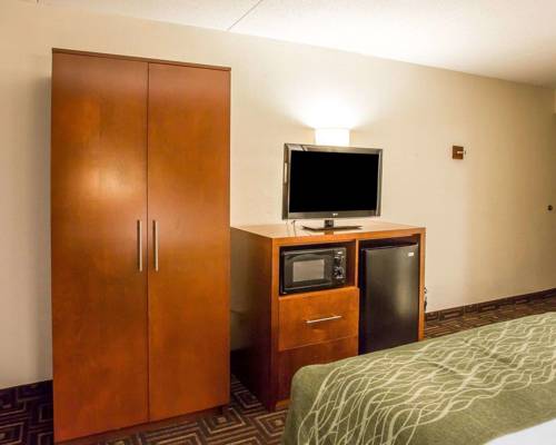 Imagen de la habitación del Hotel Comfort Inn Downtown Chattanooga. Foto 2