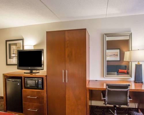 Imagen de la habitación del Hotel Comfort Inn Downtown Chattanooga. Foto 3