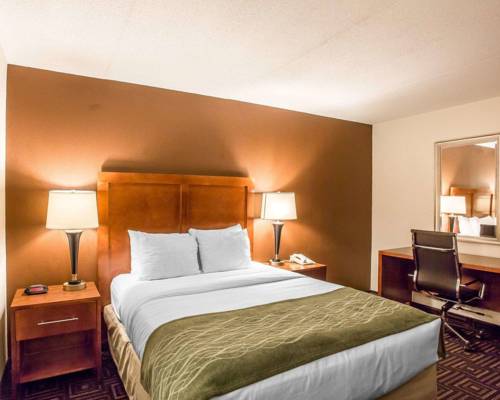 Imagen de la habitación del Hotel Comfort Inn Downtown Chattanooga. Foto 4