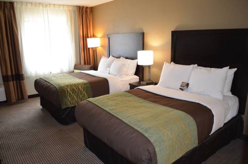 Imagen de la habitación del Hotel Comfort Inn Downtown, Detroit Centro. Foto 1