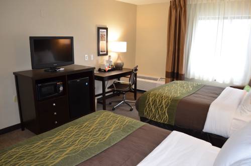 Imagen de la habitación del Hotel Comfort Inn Downtown, Detroit Centro. Foto 2