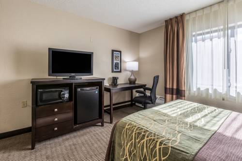 Imagen de la habitación del Hotel Comfort Inn Downtown, Detroit Centro. Foto 5