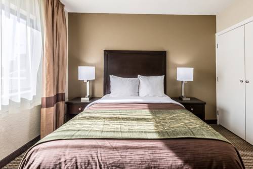 Imagen de la habitación del Hotel Comfort Inn Downtown, Detroit Centro. Foto 6