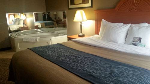 Imagen de la habitación del Hotel Comfort Inn Downtown - University Area. Foto 3