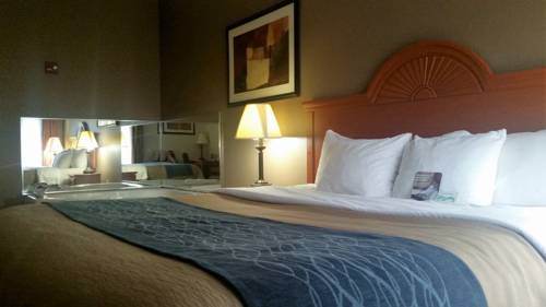 Imagen de la habitación del Hotel Comfort Inn Downtown - University Area. Foto 4