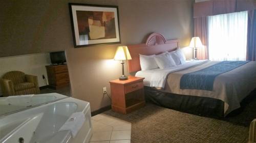 Imagen de la habitación del Hotel Comfort Inn Downtown - University Area. Foto 7