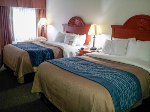 Imagen de la habitación del Hotel Comfort Inn Downtown - University Area. Foto 9