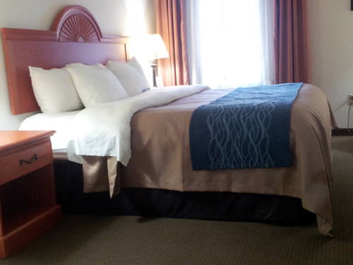 Imagen de la habitación del Hotel Comfort Inn Downtown - University Area. Foto 10