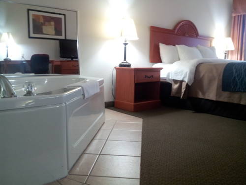 Imagen de la habitación del Hotel Comfort Inn Downtown - University Area. Foto 11
