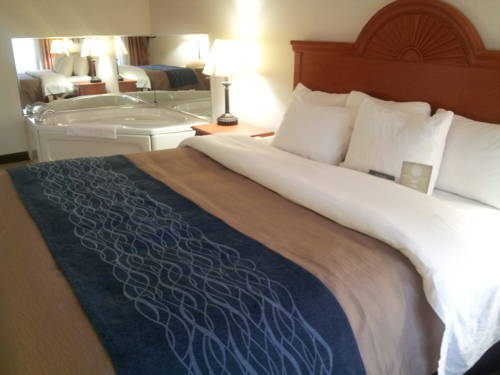 Imagen general del Hotel Comfort Inn Downtown - University Area. Foto 1