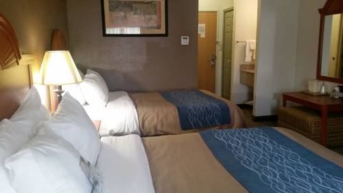 Imagen de la habitación del Hotel Comfort Inn Downtown - University Area. Foto 12