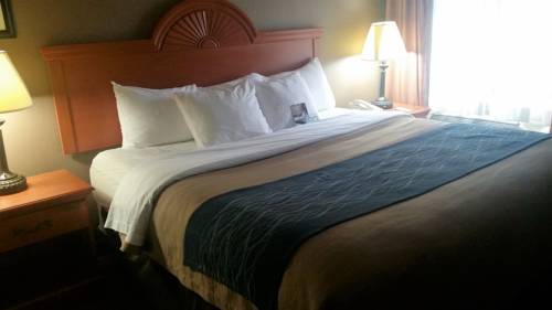 Imagen de la habitación del Hotel Comfort Inn Downtown - University Area. Foto 13