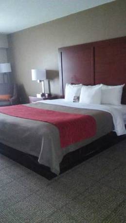 Imagen de la habitación del Hotel Comfort Inn Duncansville - Altoona. Foto 2