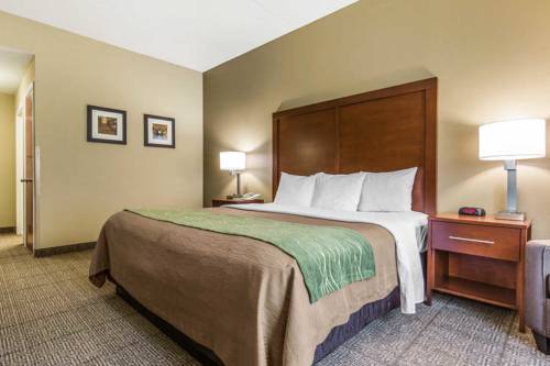 Imagen de la habitación del Hotel Comfort Inn Duncansville - Altoona. Foto 6